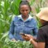 Artificial Intelligence and new technologies are powering Africa’