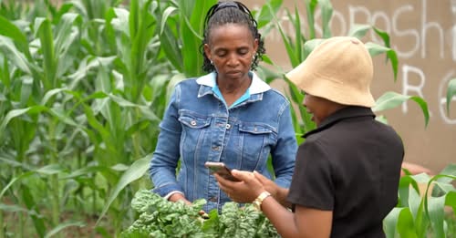 Artificial Intelligence and new technologies are powering Africa’